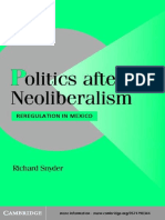 Snyder - Politics After Neoliberalism Reregulation in Mexico (2001)