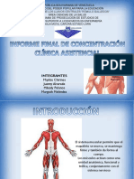 Diapositivas Sistema Muscular Completas