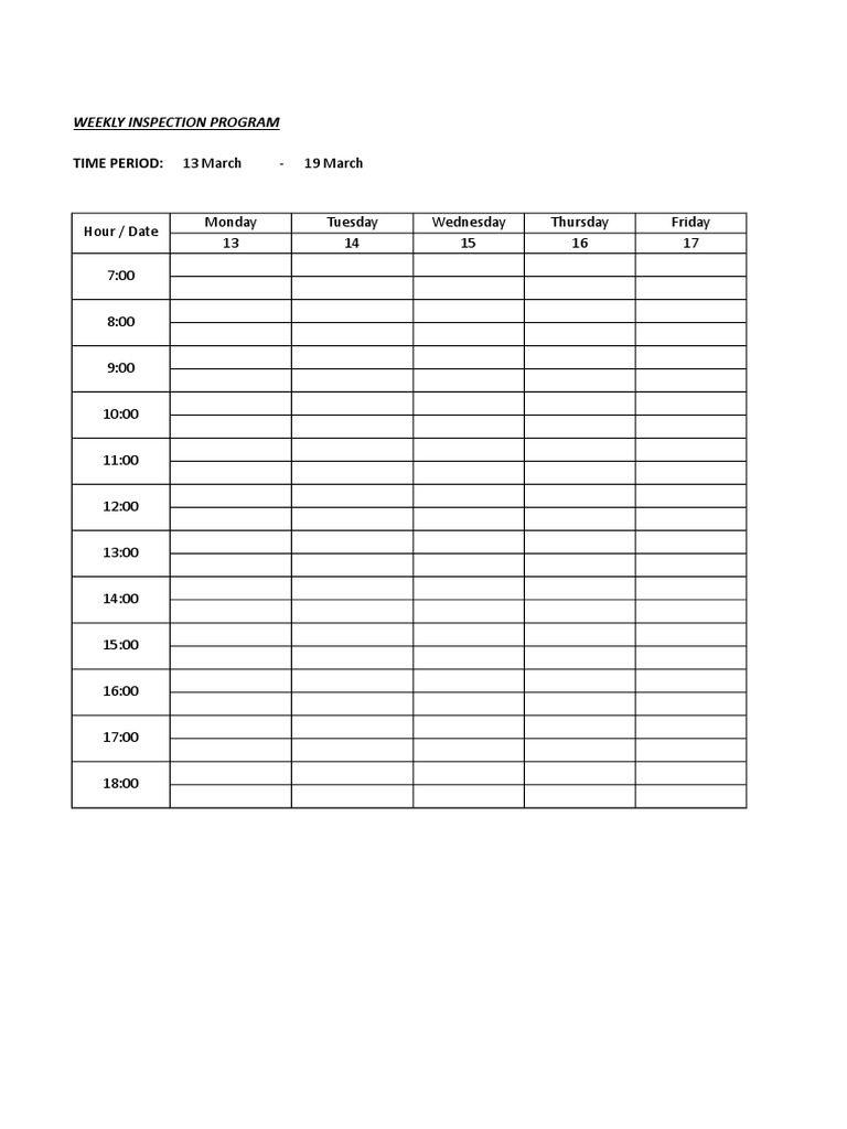 Weekly Inspection Program | PDF