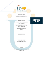 Trabajo Colaborativo 1. Actividad 1 (6)