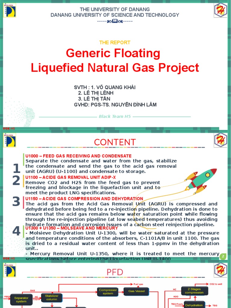 LNG Processing for Engineering Students | PDF | Natural Gas | Liquefied ...