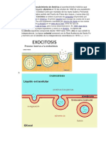 Endo y Exocitosis