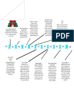 Education History Timeline