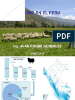 Los Ovinos en El Peru