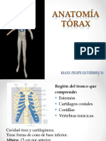 Clase Nº 4. Anatomia Torax..pdf