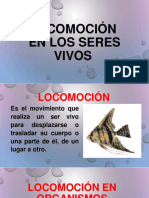 Locomocin 161209221430