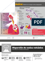 313-INFOGRAFACENIZAVOLCNICA