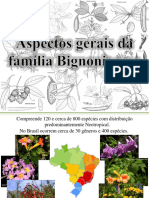 Aspectos Gerais Da Família Bignoniaceae