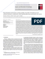 The Adsorption and Enzyme Activity Profiles of Specific Trichoderma Reesei