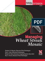 Wheat Streak Mosaic