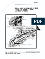 Turtles, Birds, and Mammals in The Northern Gulf Mexico