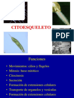 CITOESQUELETO