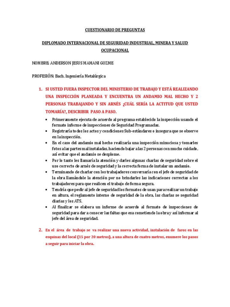 Sistema de Gestion de Seguridad y Salud Ocupacional | PDF | ruido ...