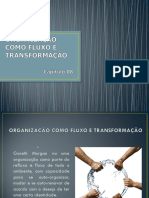 Organização Fluxo e Transformação