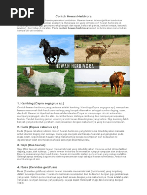 Contoh Hewan Herbivora