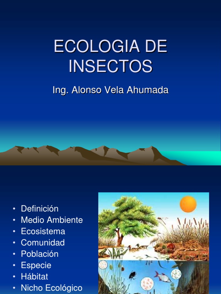 Ecología de Insectos y Ecosistemas | PDF | Hormiga | Insectos