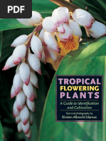 Tropical Flowering Plant Cultivar Plants