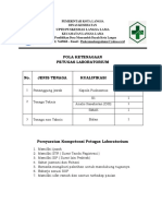 Pola Ketenagaan, Persyaratan Kompetensi