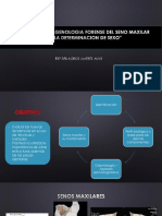 Avances en Imagenologia Forense Del Seno Maxilar