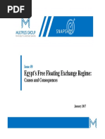 Egypt's Free Floating Exchange Regime