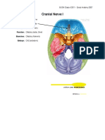 cranial-nerves.pdf