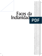 faces da indianidade - livro.pdf