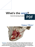 VB2014-Anatomy-Etymology-eBook.pdf