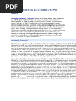 Cultivo Da Mandioca Para o Estado Do Par