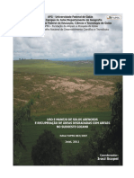 Ufg - Uso e Manejo de Solos Arenosos e Recuperação de Areas Degradadas Com Areais No Sudoeste Goiano