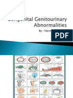 2 Congenital Genitourinary Abnormalities herman.pptx