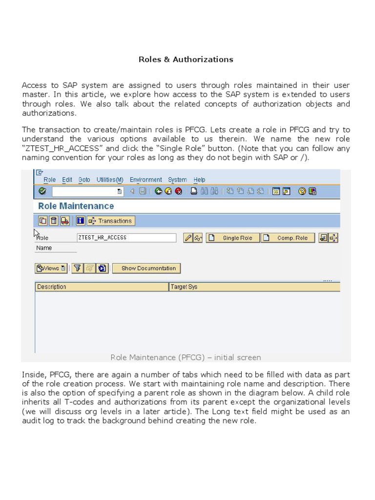 PFCG | PDF | Object (Computer Science) | Business Process