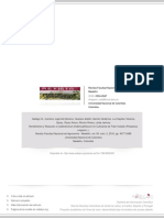 Rendimiento y Reacción A Colletotrichum Lindemuathianum en Cultivares de Fríjol Voluble (Phaseolus V