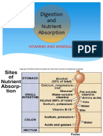 K13 - digest vitamin, mineral, digestive block.mei 2015.joko.pptx
