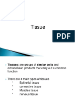 Tar Tissues 2017.Pptx