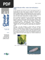 cigarrinha-do-milho-vetor-de-molicutes-e-virus.pdf