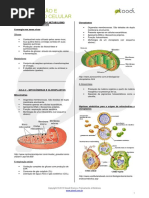 Biologia Fermentacao e Respiracao Celular v02 2