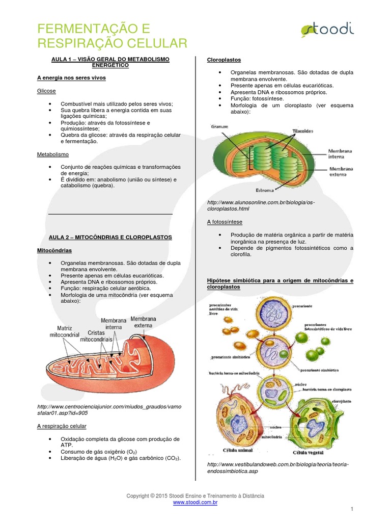 Biologia Fermentacao e Respiracao Celular v02 2 | Download grátis PDF ...