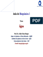 Aula03BioqI Água