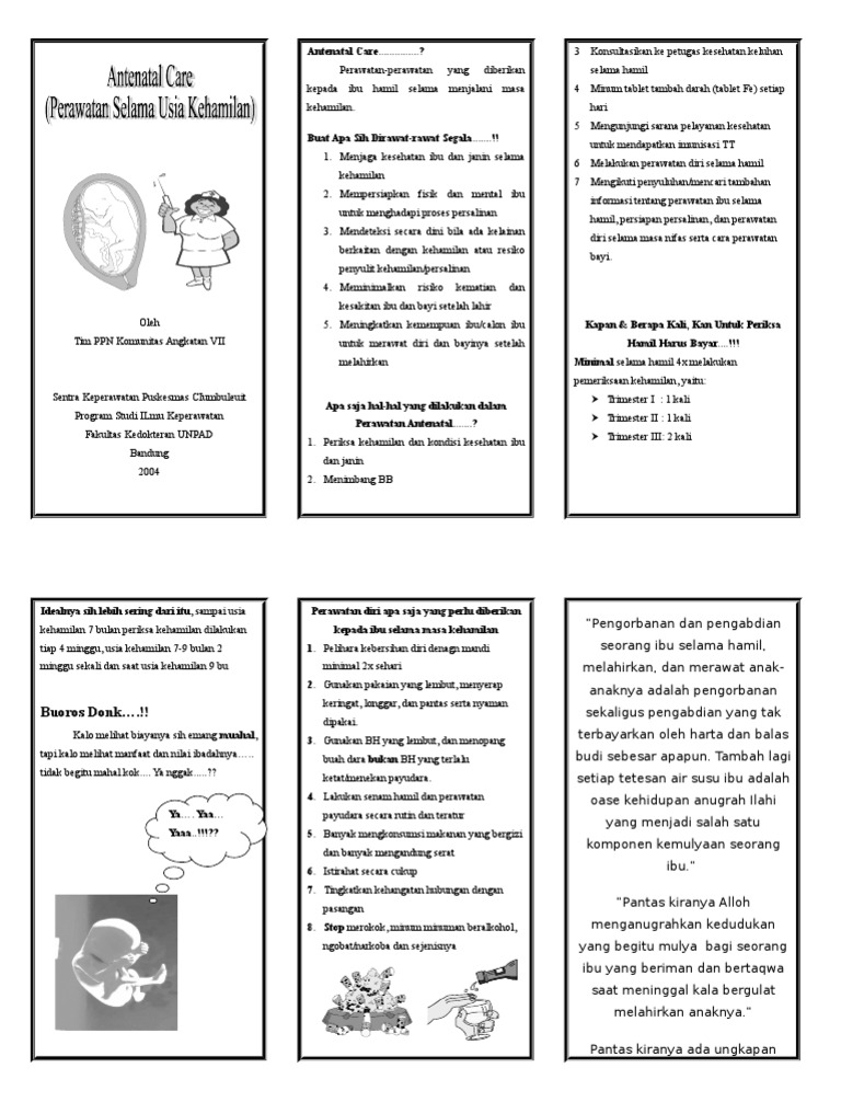 Leaflet Prenatal Care | PDF