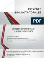 Patrones Inmunotintoriales