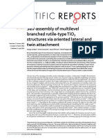 Self-Assembly of Multilevel Branched Rutile-Type Tio Structures Via Oriented Lateral and Twin Attachment