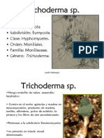 Trichoderma SP PDF