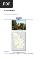 Crvena Crkva: From Wikipedia, The Free Encyclopedia