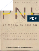 Richard Bandler - La Magia en Accion - PNL.