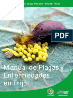 Manual de Plagas y Enfermedades en Frijol_lorito_chicharra.pdf