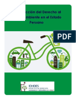Proteccion amb derecho_medio_ambiente.pdf