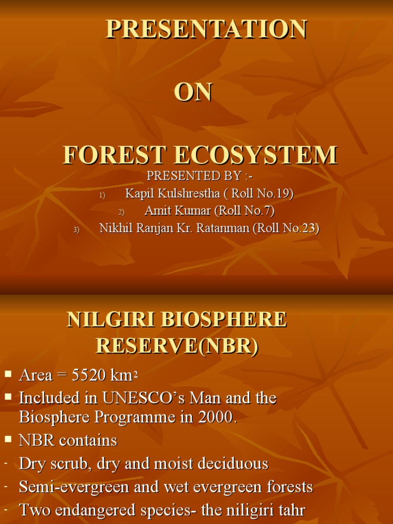 Overview Of Forest Ecosystems In India Pdf Forests Desert