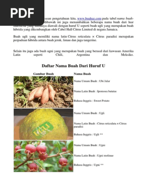 Nama Buah Dari Huruf U Pdf