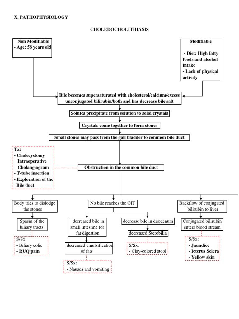 Choledocholithiasis PATHOPHYSIOLOGY | PDF | Bile | Gastroenterology