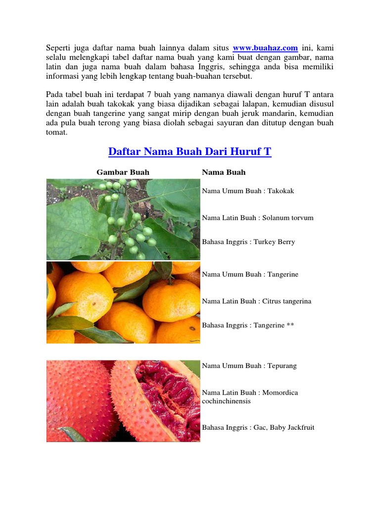 Paling Populer 28 Gambar Buah Bahasa Inggris Gani Gambar Paling Populer 28 Gambar Buah Bahasa Inggris Gani Gambar